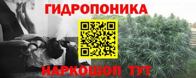 ECSTASY Заводоуковск