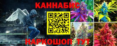 индика Жуковский