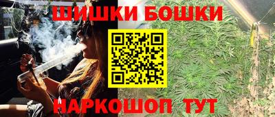 индика Жуковский