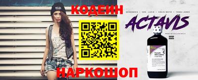 индика Жуковский