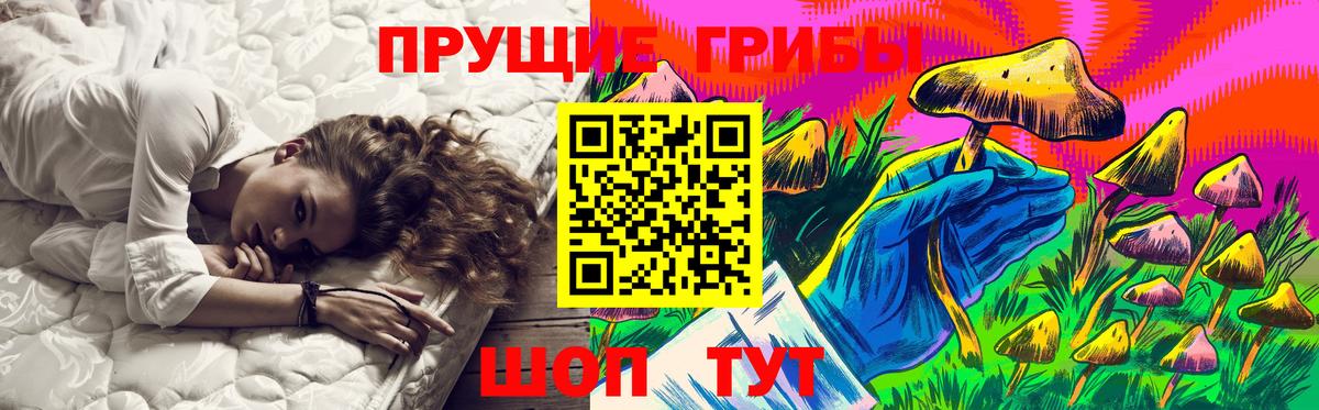 Минусинск  Псилоцибиновые грибы GOLDEN TEACHER  Вход с VPN 